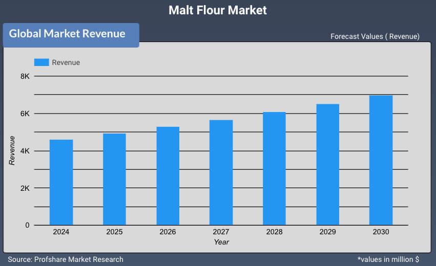 Malt Flour Market