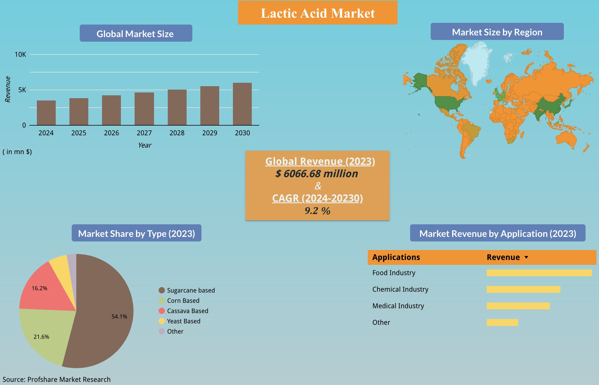 Lactic Acid Market